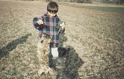 Cairn Terrier und Kinder